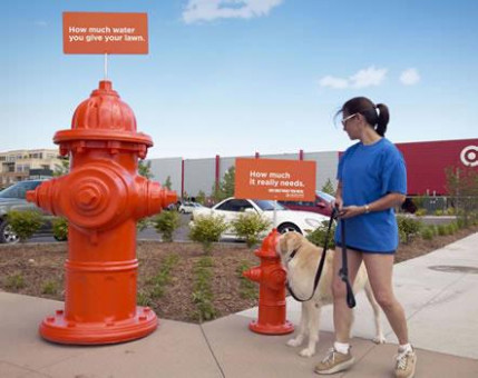 Denver Water Fire Hydrants - 2