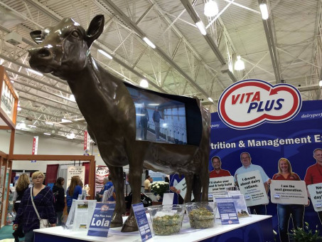Vita Plus Bronze Cow Video Trade Show Display