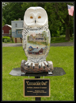 Coxsackie Owl by James Cramer