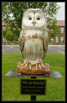 Ollie, the Olana Owl by Katarina Spitzer