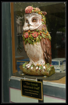 The Great Adorned Owl by Sara Pruiksma