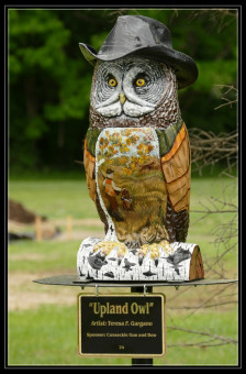 Upland Owl by Teresa F. Gargano