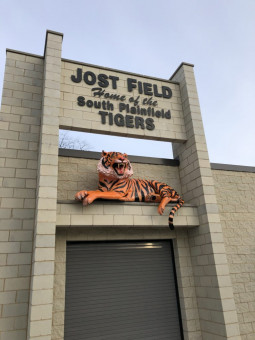 Jost Field Tigers Mascot