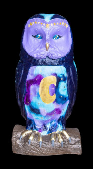 Luna The Night Owl