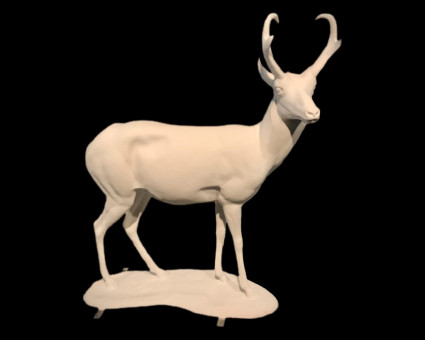 Fiberglass Antelope- 40'' Long x 54'' Tall