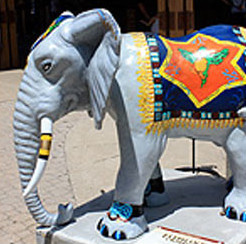 Cleveland Metroparks Zoo – Elephant Crossing – Cleveland, Ohio