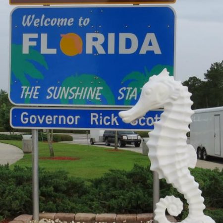 A Seahorse Dream – Fort Meyers, FL