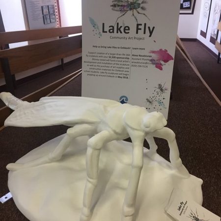Lake Fly Community Art Project – Oshkosh, WI