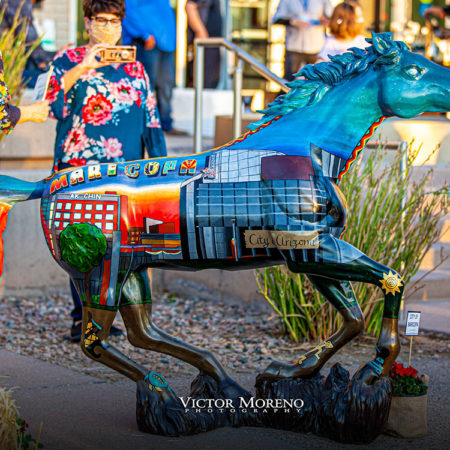 Maricopa Wild Horses- Arts Initiative- Maricopa, AZ