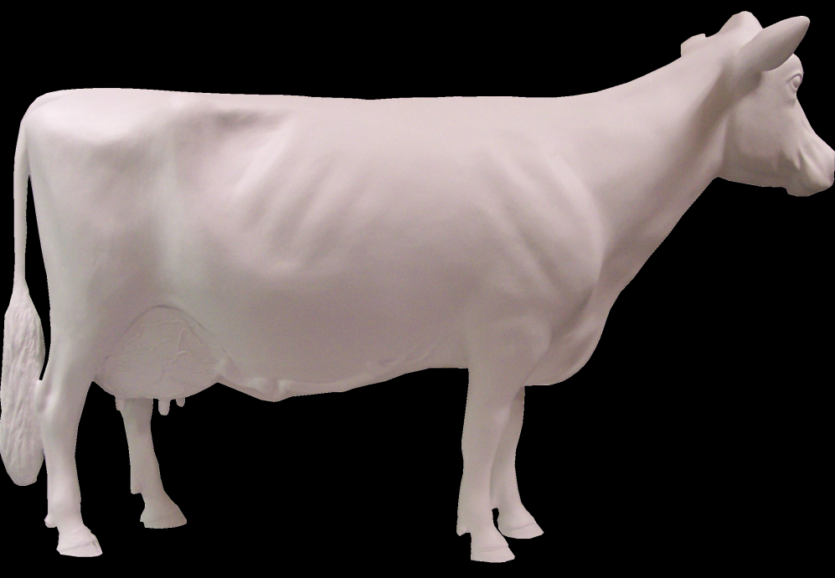 Cow-1024x690