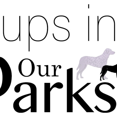Pups in Our Parks – Manchester, CT