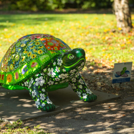 Turtley Awesome! – Wilmington, NC