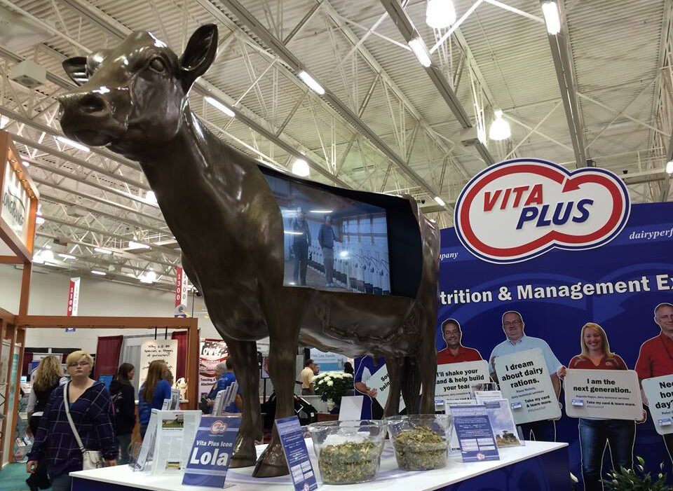 Vita-Plus-Bronze-Cow-Video-Trade-Show-Display