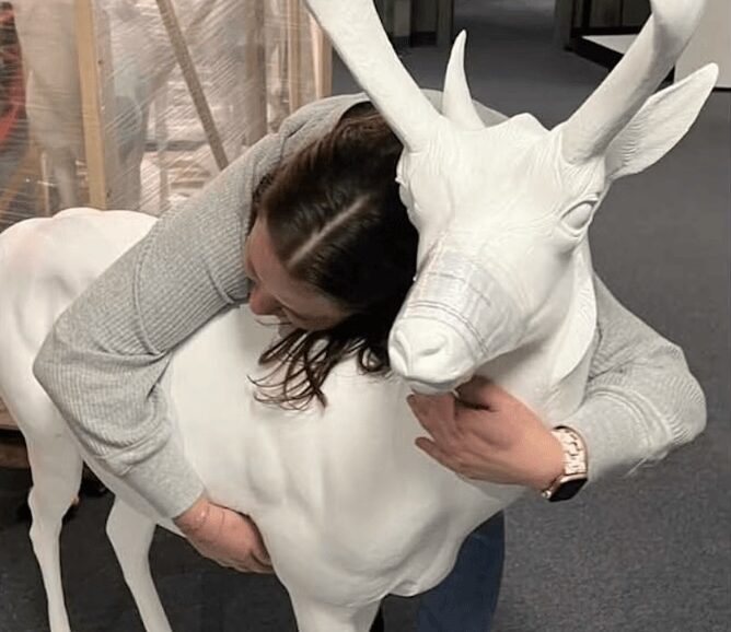 Pronghorn