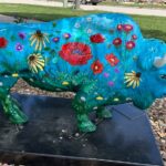 Buffalo in Jewell